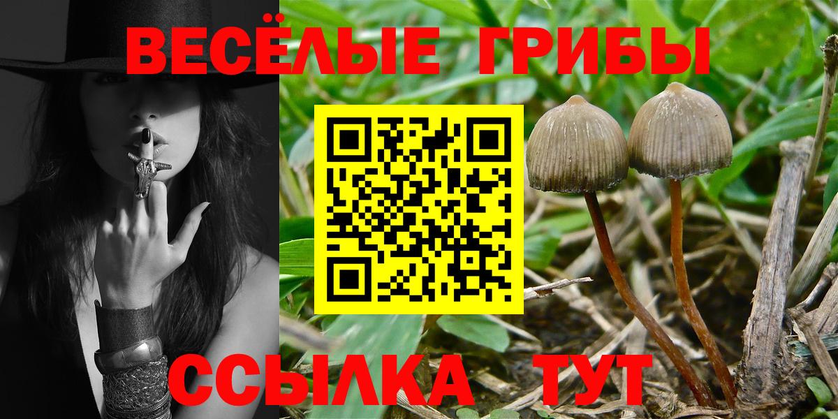 Галлюциногенные грибы Cubensis  Псилоцибиновые грибы мухоморы  Гусь-Хрустальный  Вход с VPN 