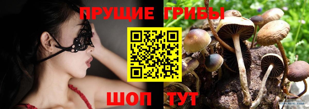 Галлюциногенные грибы GOLDEN TEACHER Гусь-Хрустальный